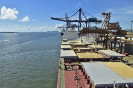 19% das exportações de soja brasileira passam pelos Portos do Paraná