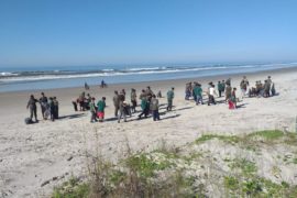 Voluntários retiram 350 kg de lixo das praias paranaenses