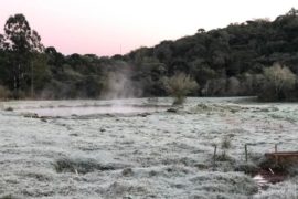 Madrugada mais fria do ano tem registro de -4,8°C no Paraná
