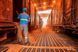 Porto de Paranaguá receberá 6 milhões de toneladas de grãos até dezembro