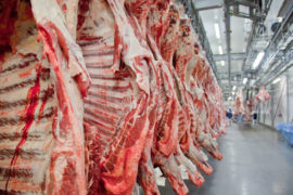 Aumentam exportações de carne pelos Portos do Paraná