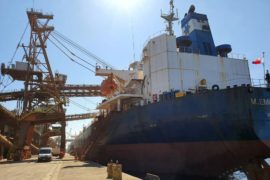 Porto de Paranaguá recebe navio para novo embarque de DDGs