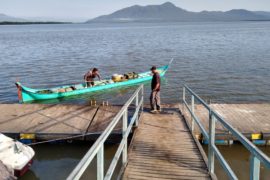 Agricultores de Antonina levam alimentos a ilhas e comunidades indígenas