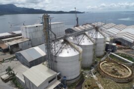 Porto de Antonina investe R$45 milhões em seis novos silos para cevada, malte e trigo