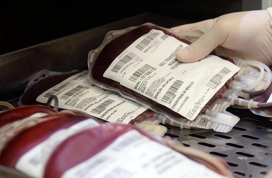 DENGUE: Nota Técnica orienta sobre triagem para doação de sangue